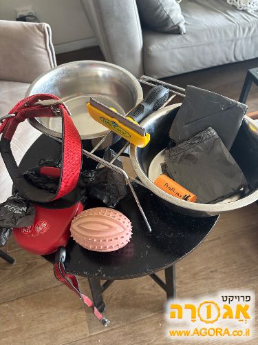 אביזרים לכלב