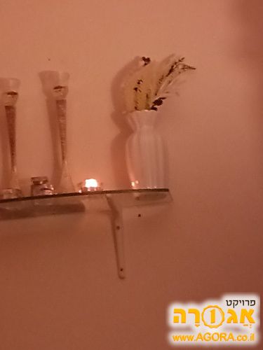 עציץ קטן לנוי