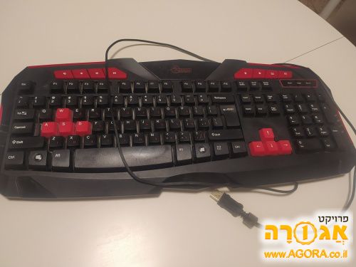 מקלדת