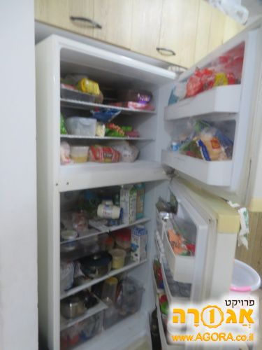 מקרר אפולו תדיראן