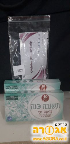 בדיקות ב