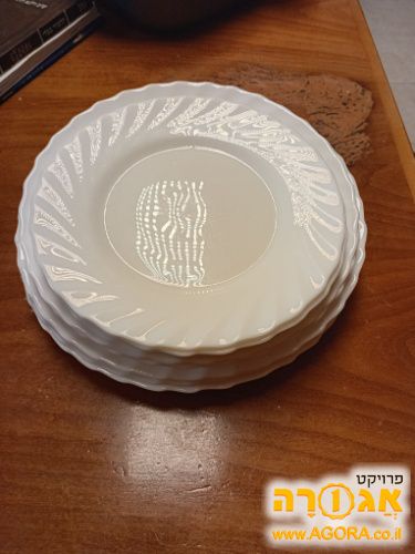צלחות בשריות