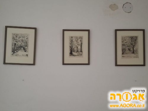 תמונות ממוסגרות רישום שחור-לבן