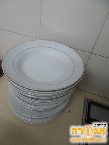 סט צלחות בשרי
