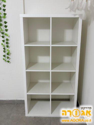 כוורת לבנה