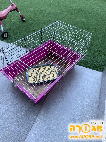 כלוב