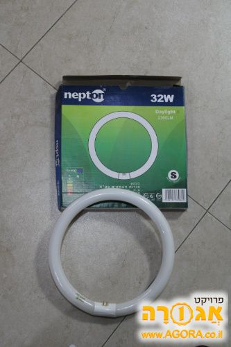 מנורות פלורוסנט עגולות