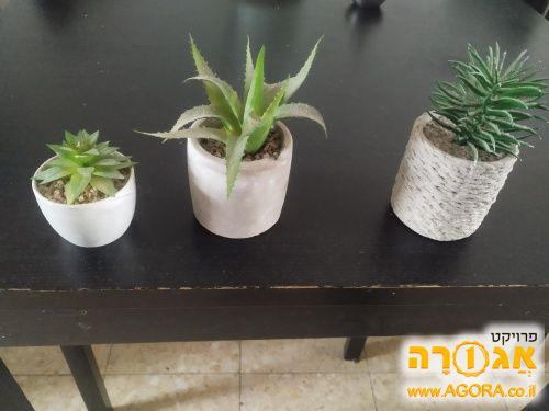 עציצי פלסטיק קטנים
