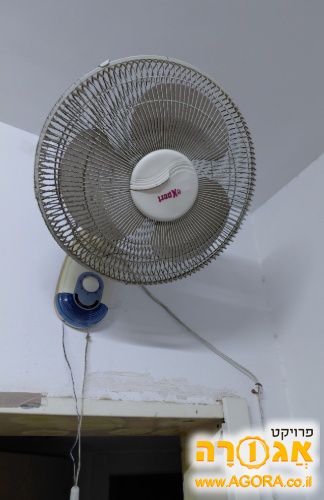מאוור
