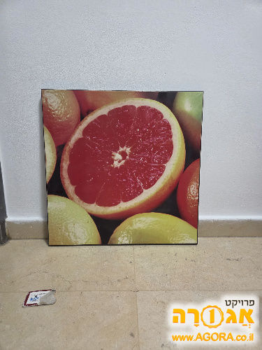 קישוט קיר