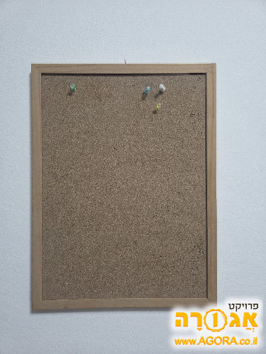 לוח שעם