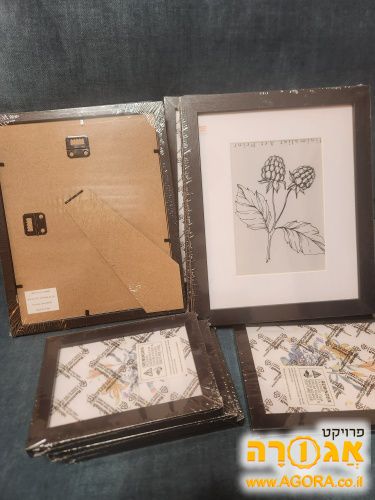 מסגרות לתמונות