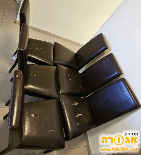 6 כיסאות סלון עץ מלא ריפוד עור איטלקי