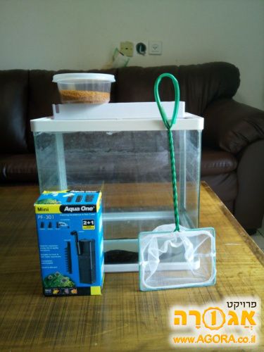 אקווריום