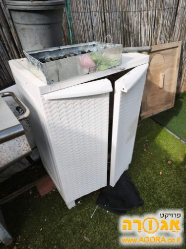 ארונית