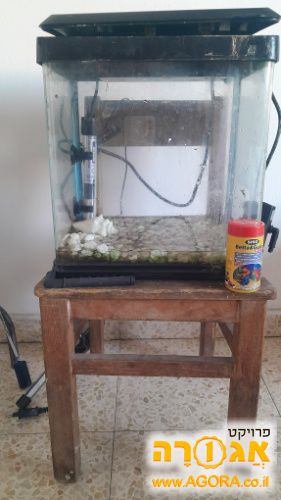 אקווריום