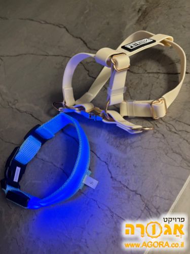 ריתמות לכלב