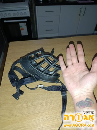 מחסום לכלב