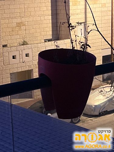 אדנית אדומה