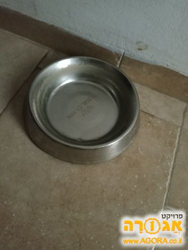 צלחת אוכל לכלב