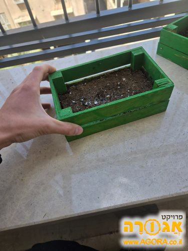 אדנית