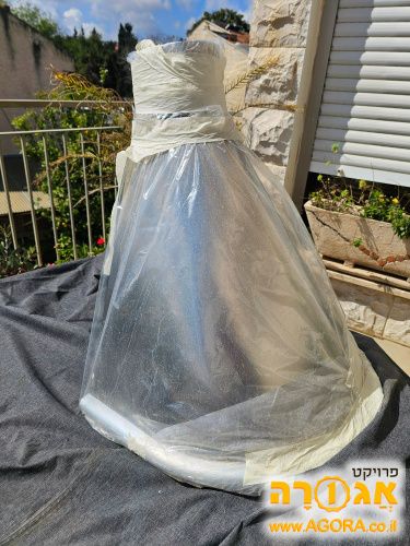 קולט אדים