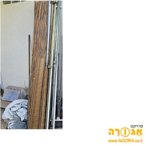 סוכה לנצח