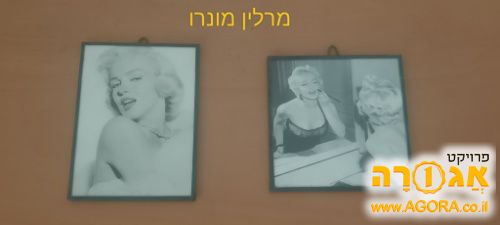 תמונות מרלין מונרו