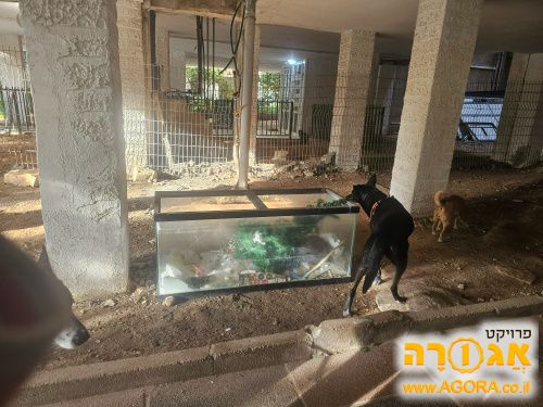 אקווריום מטר ועשרים