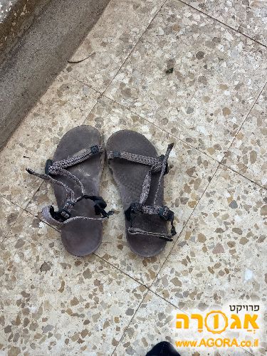 סנדלי ברפוט