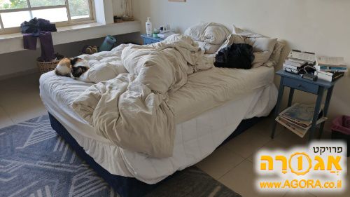 מיטה זוגית ומזרון