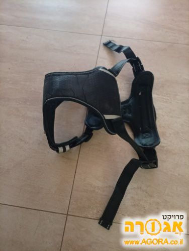רתמה לכלב