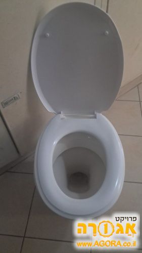 אסלה ללא ניאגרה