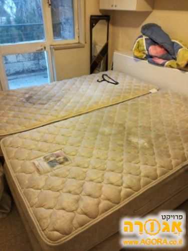 מיטה