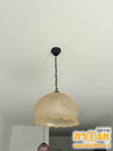 בית מנורה
