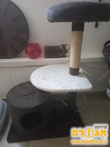 מתקן גירוד מפואר לחתול