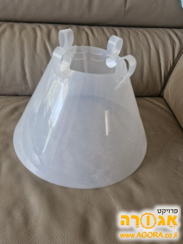 קונוס לכלבים (אליזבט)