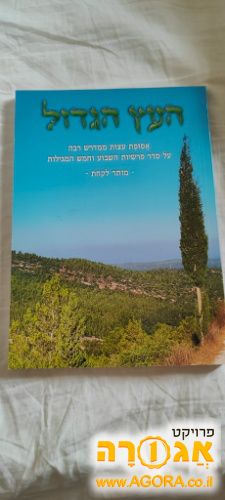 ספר העץ הגדול