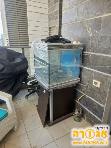 אקווריום