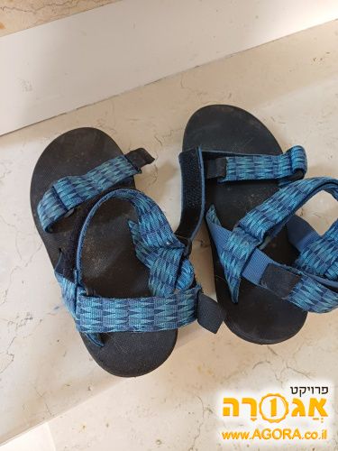 סנדלי שורש מידה 37