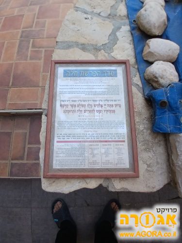 הפרשת חלה