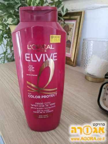 שמפו אלביב לשמירה על צבע שיער