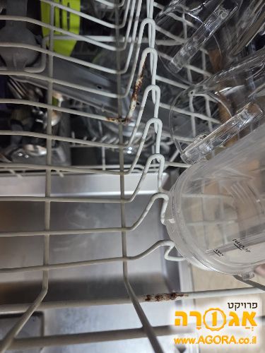מדיח תקין
