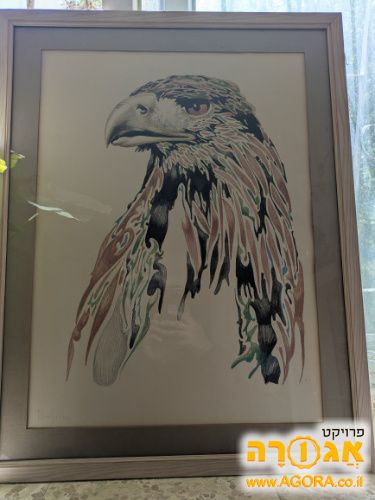 תמונה