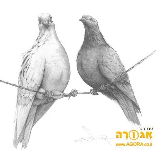 הדרכה לשלמות הבית