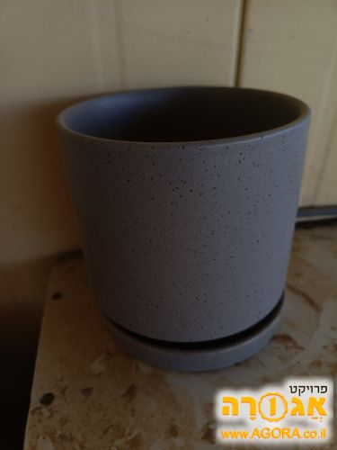 עציץ