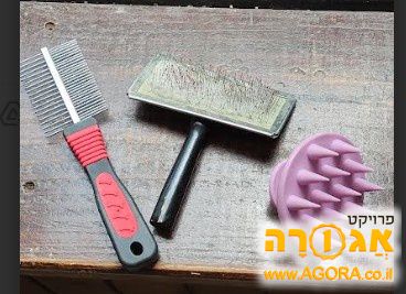 מסרקים לחתול