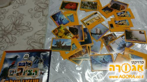 תמונות מדבקות לאלבום הצ'ופים