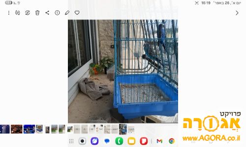 תוכון