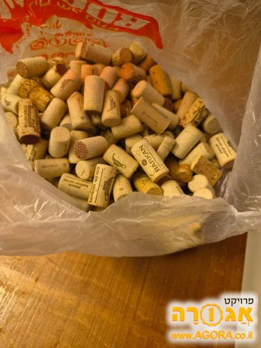 פקקי שעם